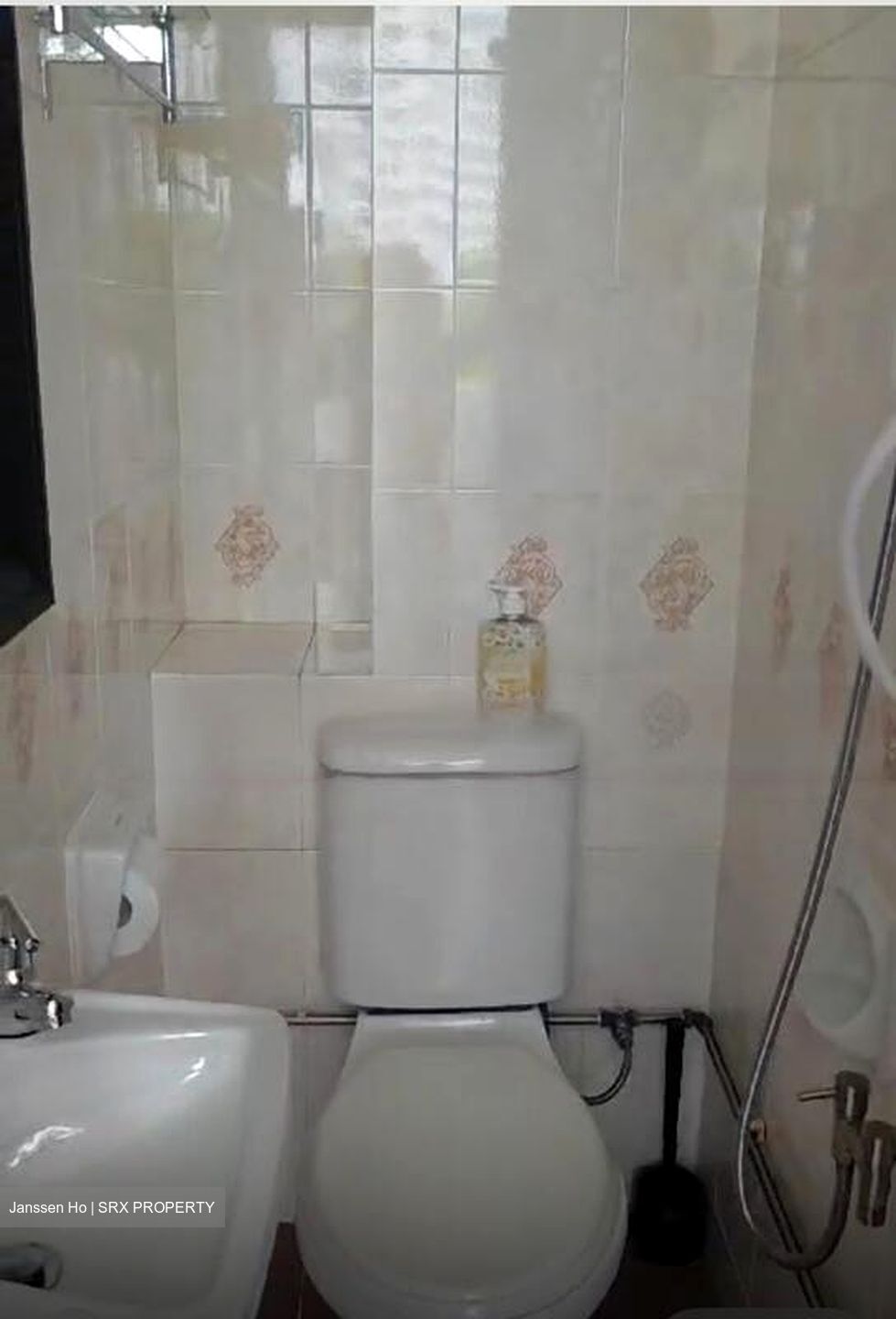 Tanglin Regency (D10), Condominium #462569811